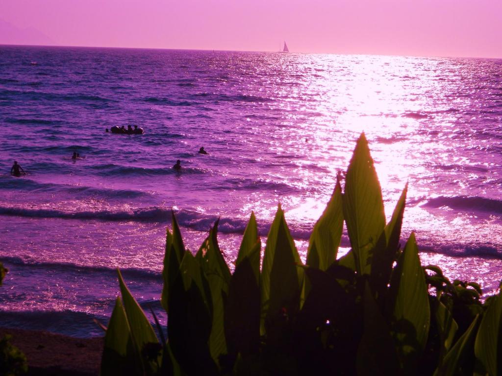 Kibar Apart Pansiyon Kuşadası Buitenkant foto